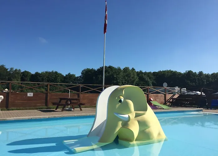 City Camping Hjorring Hjørring